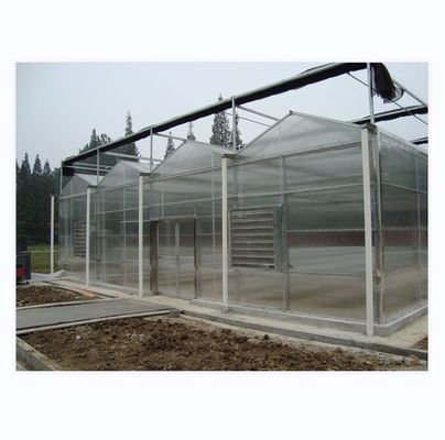 8m 9,6m 12m Spanbreedte Landbouw Kas voor hybride tomatenzaden en groenten
