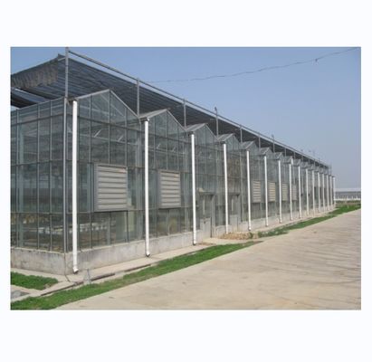 Grote landbouwhuis met gegalvaniseerd stalen frame en optionele koelsysteem