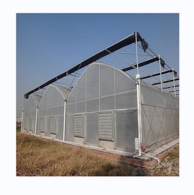 Gemakkelijk te monteren Tomato Agricultural Kit Frame kas met super sterke weerstand