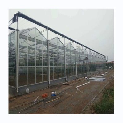 Multi-Span glazen kasten voor groente, fruit en bloemen