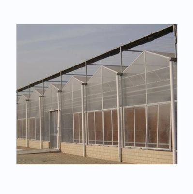 8 mm PC-plaat Multi Span Landbouwgreenhouses voor duurzame landbouw