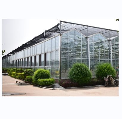 Glasbedekking NFT Hydroponische kweeksystemen De ultieme oplossing voor verticale landbouw