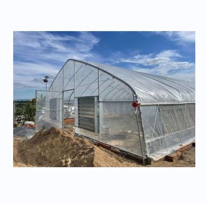 6m-10m breedte enkellaag hoge sterkte poly-tunnel kas voor de tomatenproductie
