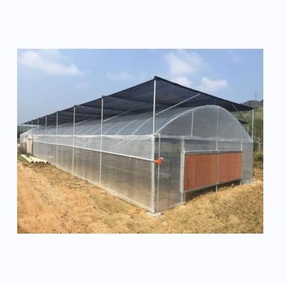 Kleine single span PE plastic film kas voor groentenbouw 10-100m lengte