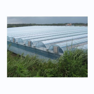 Grote multi-span landbouwfilmplazen met optionele koelsysteem
