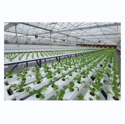 Horizontaal PVC-NFT-kanaal voor hydroponische groentenverbouwing op maat