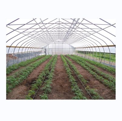 Komkommerbouw Kleine landbouw tunnel kas met gegalvaniseerd stalen frame