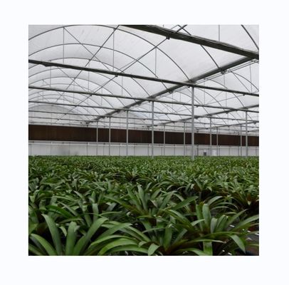 Gegalvaniseerde staalframe enkellagig filmkas voor grootschalige commerciële landbouw