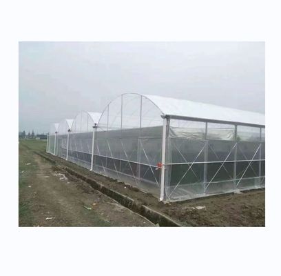 150/200 Micron Plastic Film Multi Span Serre voor groenten en bloemen