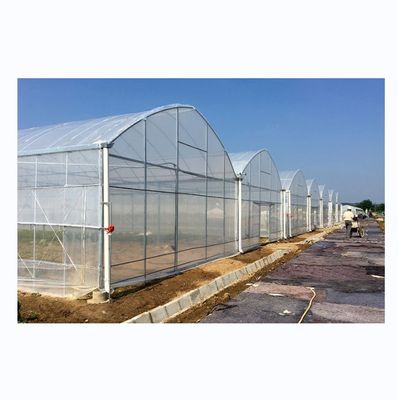 Shine Tech Groentehuis Sleutelklaaroplossing voor Hydroponics van Landbouw Tomaten