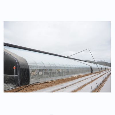 Verbetering van de groei van de wintergewassen Groentehuizen met een enkele lengte Hoogte 3,5-5M