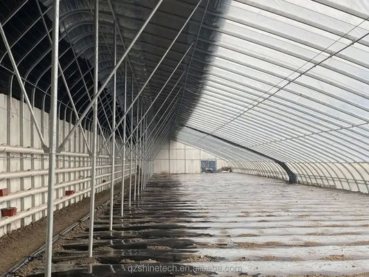 Verbetering van de groei van de wintergewassen Groentehuizen met een enkele lengte Hoogte 3,5-5M