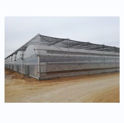 4.0-8.0M Hoogte Landbouw Multi Span Plastic Film Greenhouse For Tomato Turnkey Project
