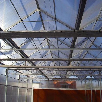 8m 9,6m 12m Spanbreedte Landbouw Kas voor hybride tomatenzaden en groenten