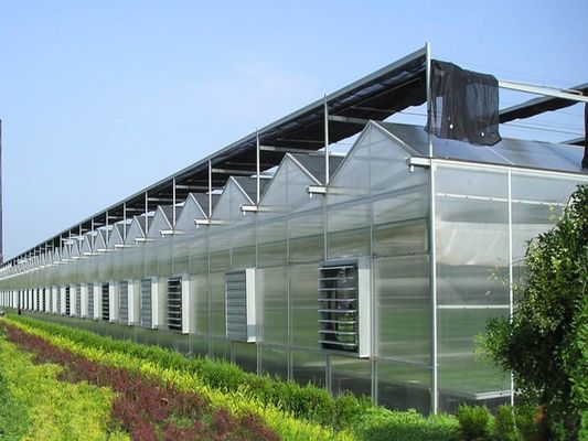 8m 9,6m 12m Spanbreedte Landbouw Kas voor hybride tomatenzaden en groenten