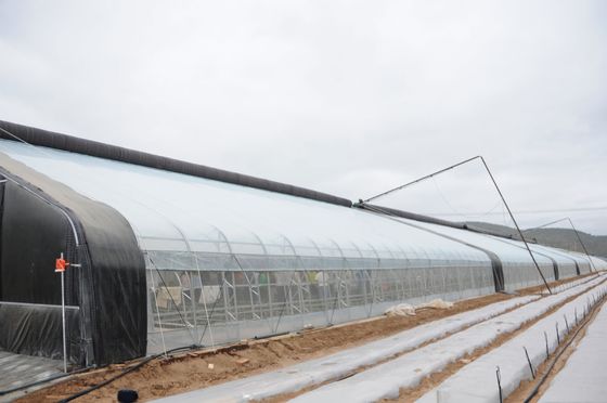 Verbetering van de groei van de wintergewassen Groentehuizen met een enkele lengte Hoogte 3,5-5M
