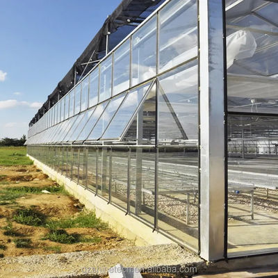 Warm gegalvaniseerde staalframeconstructie Venlo-glaskasten voor groentehouderij