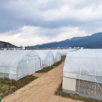 2.5-5M Hoogte Tomaten Hydroponische hoge tunnel Landbouw Kas met film