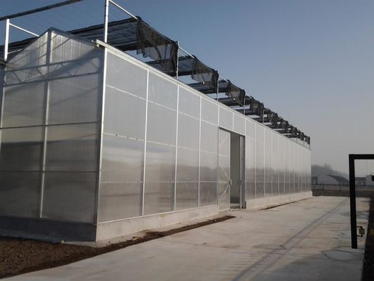 8m 9,6m 12m Spanbreedte Landbouw Kas voor hybride tomatenzaden en groenten