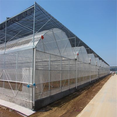 4.0-8.0M Hoogte Landbouw Multi Span Plastic Film Greenhouse For Tomato Turnkey Project