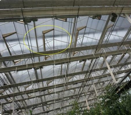 Warm gegalvaniseerde staalframeconstructie Venlo-glaskasten voor groentehouderij