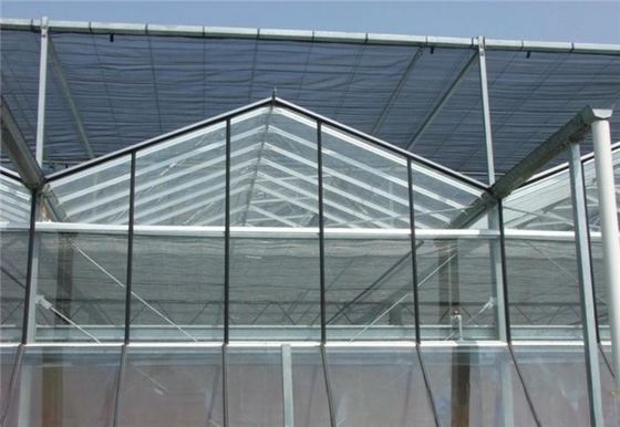 Warm gegalvaniseerde staalframeconstructie Venlo-glaskasten voor groentehouderij