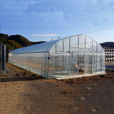 2.5-5M Hoogte Tomaten Hydroponische hoge tunnel Landbouw Kas met film