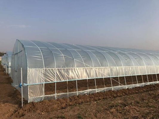 2.5-5M Hoogte Tomaten Hydroponische hoge tunnel Landbouw Kas met film