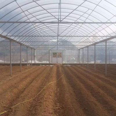 4.0-8.0M Hoogte Landbouw Multi Span Plastic Film Greenhouse For Tomato Turnkey Project