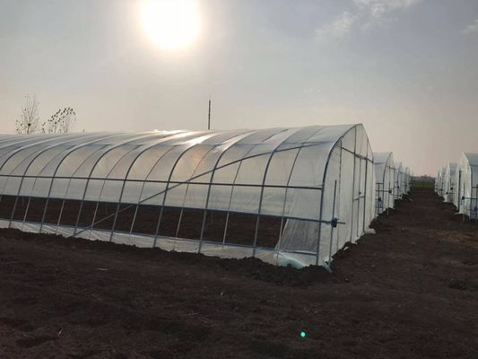 2.5-5M Hoogte Tomaten Hydroponische hoge tunnel Landbouw Kas met film