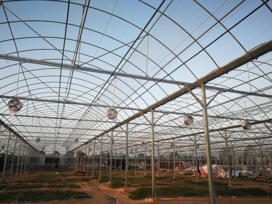 4.0-8.0M Hoogte Landbouw Multi Span Plastic Film Greenhouse For Tomato Turnkey Project