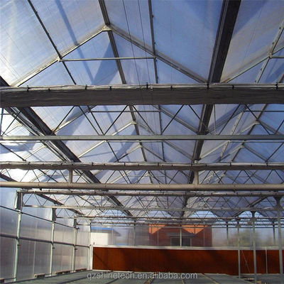 Stevig en groot kas Landbouw Polycarbonaat met gegalvaniseerd stalen frame