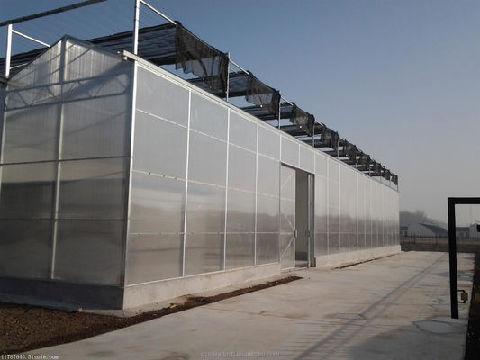 Stevig en groot kas Landbouw Polycarbonaat met gegalvaniseerd stalen frame