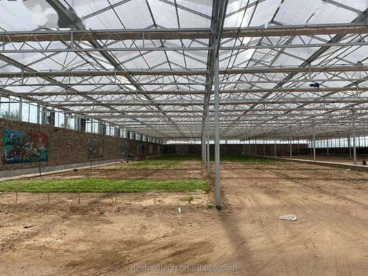 Stevig en groot kas Landbouw Polycarbonaat met gegalvaniseerd stalen frame