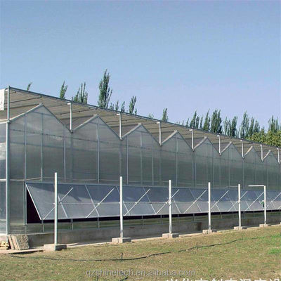 Stevig en groot kas Landbouw Polycarbonaat met gegalvaniseerd stalen frame