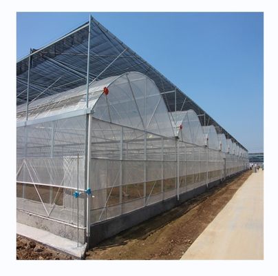 Filmbedekkingsmateriaal Landbouw Multi-Span kas met gegalvaniseerde stalen buis