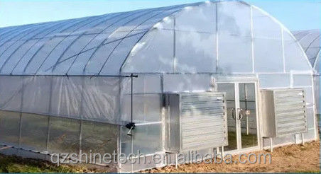 6m-10m breed gegalvaniseerd stalen frame Single Span PE film kas voor tomaten