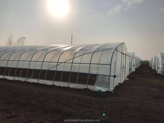 6m-10m breed gegalvaniseerd stalen frame Single Span PE film kas voor tomaten