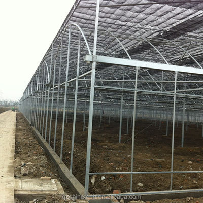 Filmbedekkingsmateriaal Landbouw Multi-Span kas met gegalvaniseerde stalen buis