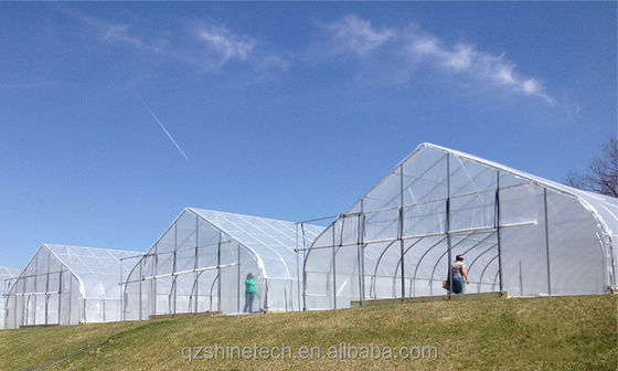 6m-10m breed gegalvaniseerd stalen frame Single Span PE film kas voor tomaten