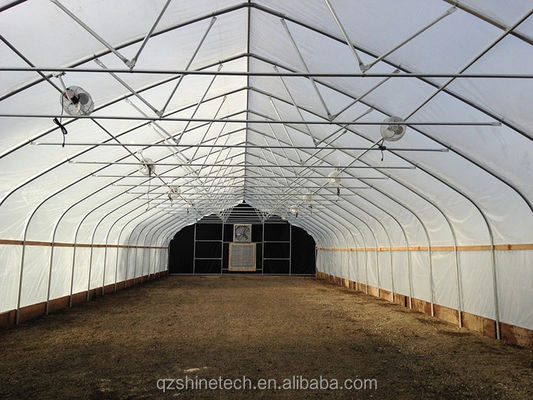6m-10m breed gegalvaniseerd stalen frame Single Span PE film kas voor tomaten