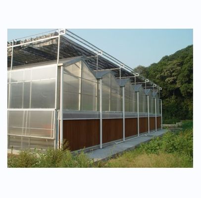 Commerciële landbouwhuis met hydroponisch systeem en 8 mm PC-plaatbedekking