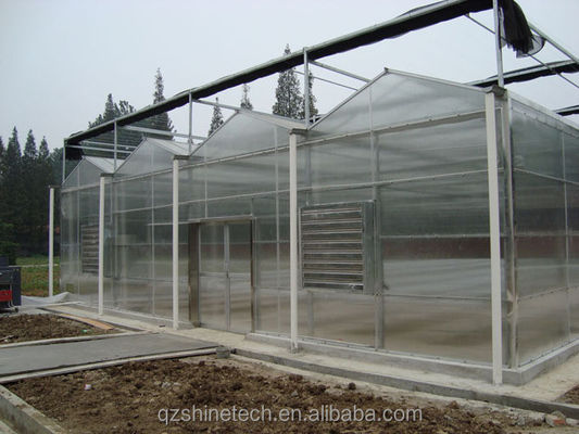 Commerciële landbouwhuis met hydroponisch systeem en 8 mm PC-plaatbedekking