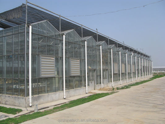 Grote landbouwhuis met gegalvaniseerd stalen frame en optionele koelsysteem