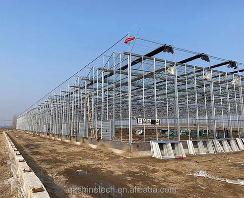 Grote landbouwhuis met gegalvaniseerd stalen frame en optionele koelsysteem