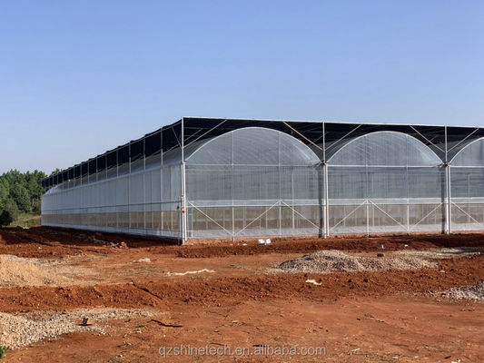 Gemakkelijk te monteren Tomato Agricultural Kit Frame kas met super sterke weerstand