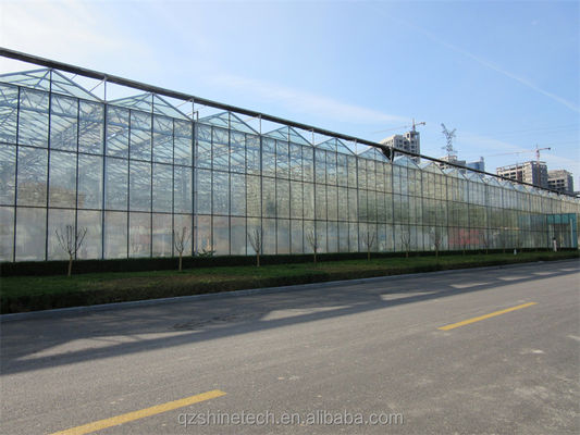 Grote landbouwhuis met gegalvaniseerd stalen frame en optionele koelsysteem
