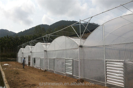 Gemakkelijk te monteren Tomato Agricultural Kit Frame kas met super sterke weerstand