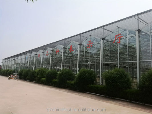 Grote landbouwhuis met gegalvaniseerd stalen frame en optionele koelsysteem