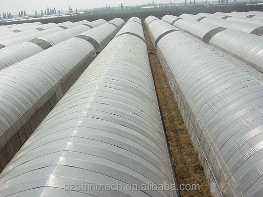 Hot Dip gegalvaniseerd stalen buis frame kasfilm voor de landbouw in 10-100m lengte